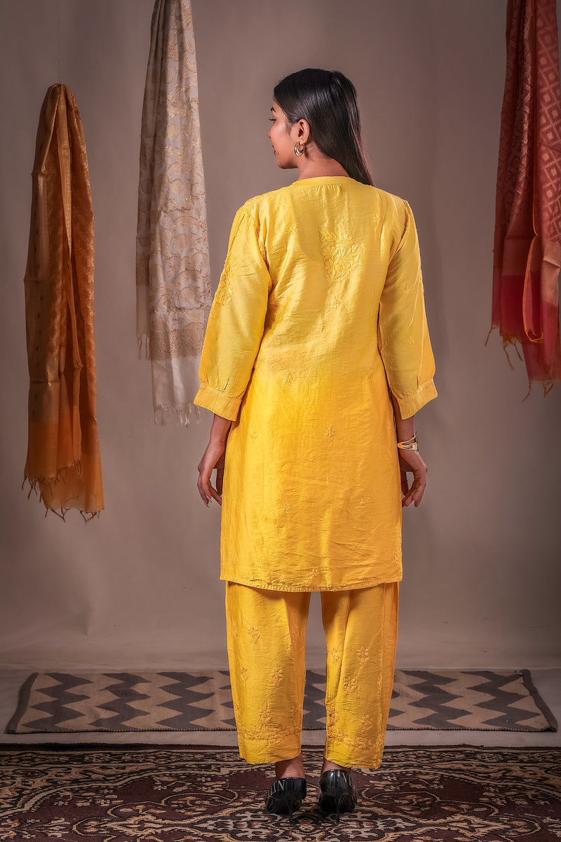Zaira Soleil Mul Chanderi Co-Ord Set alternate view