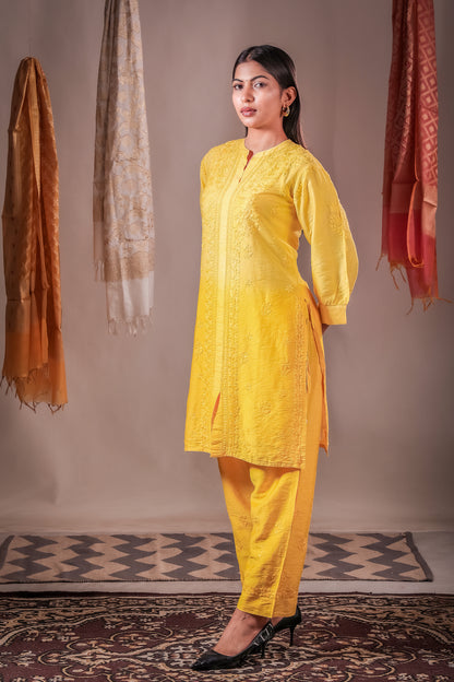 Zaira Soleil Mul Chanderi Co-Ord Set